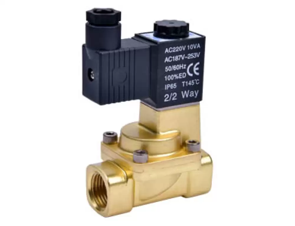 2W15015A Solenoid Valve 220V